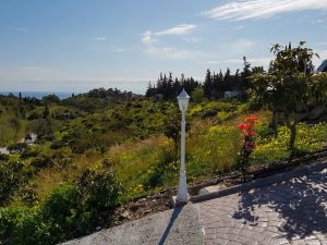 Finca-El-Morisco-1-1