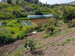 Finca-El-Morisco-21-1