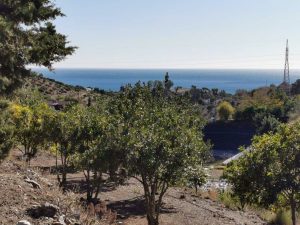 Finca-El-Morisco-23-1