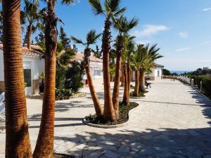 Finca-El-Morisco-4-1